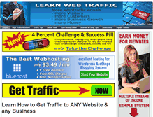 Tablet Screenshot of learnwebtraffic.com